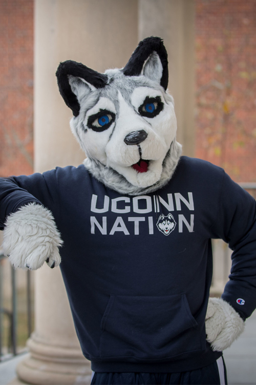 uconn husky dog mascot